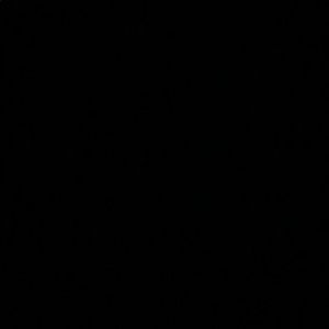 Meet your Posher, Ellie